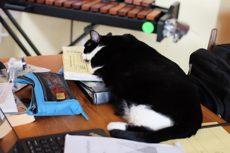 つねに何かの上