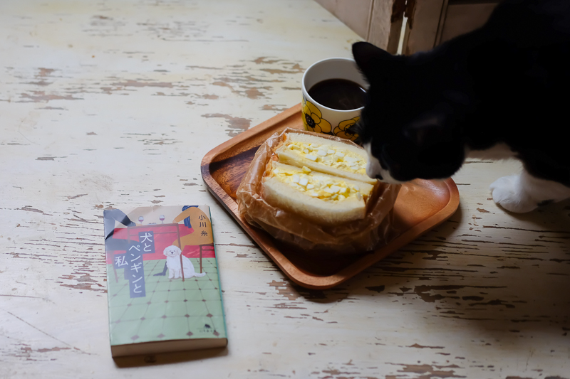 たまごサンドをかじりながら、本を読む