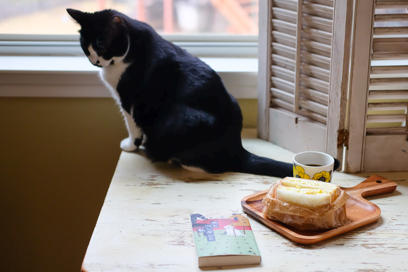 あんこちゃん、たそがれ中