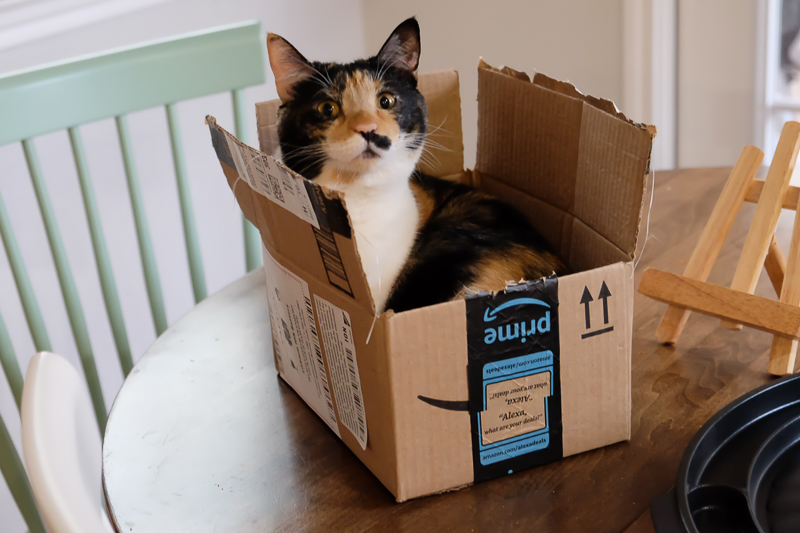 ママ、大丈夫なの！？