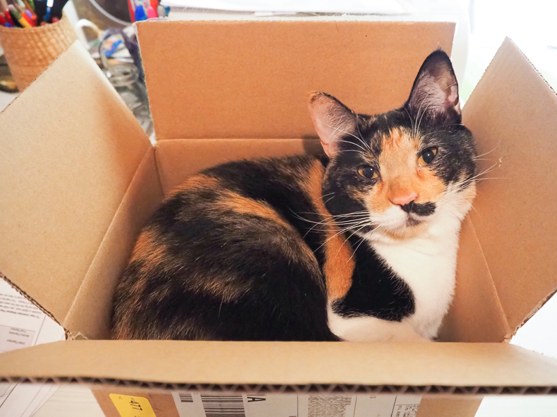 なに笑ってるの？