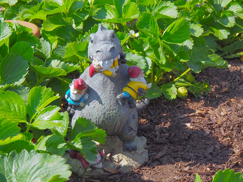 ユーモアがあちらこちらに