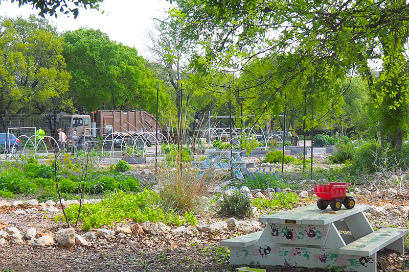 コミュニティーガーデン