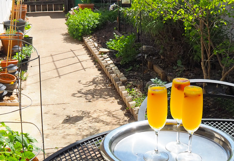 いただきます♪