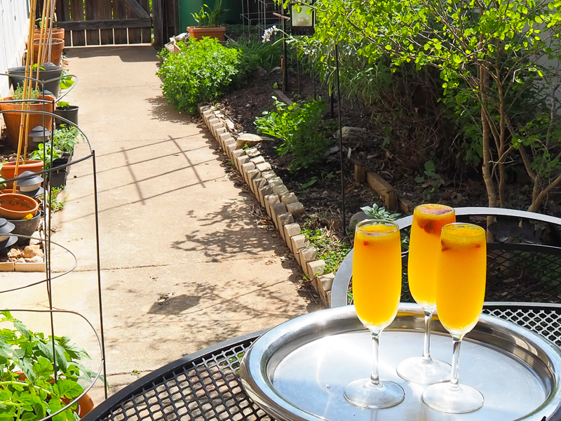 いただきます♪