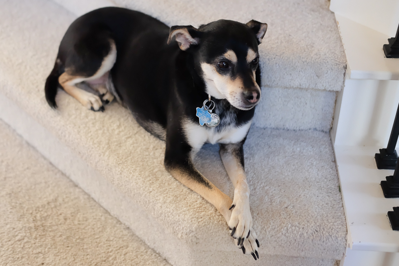 おててそろえて