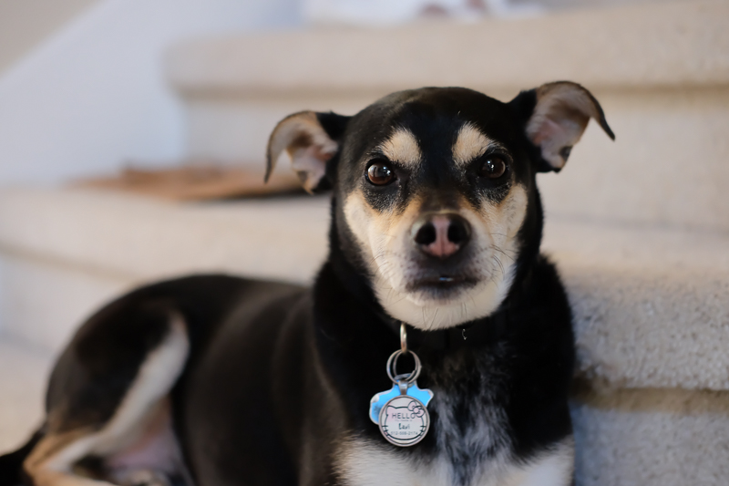 でも前から見ると... 