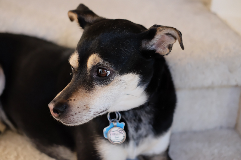 横顔はなかなかびじん