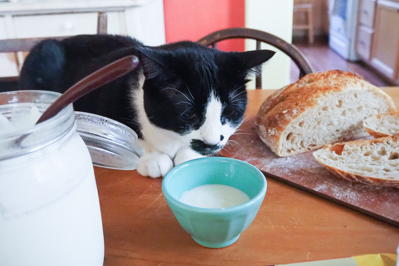 匂いかいでるだけ