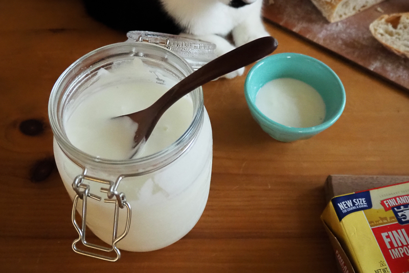 手作りヨーグルト