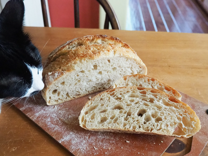 クラムもいい感じ♪