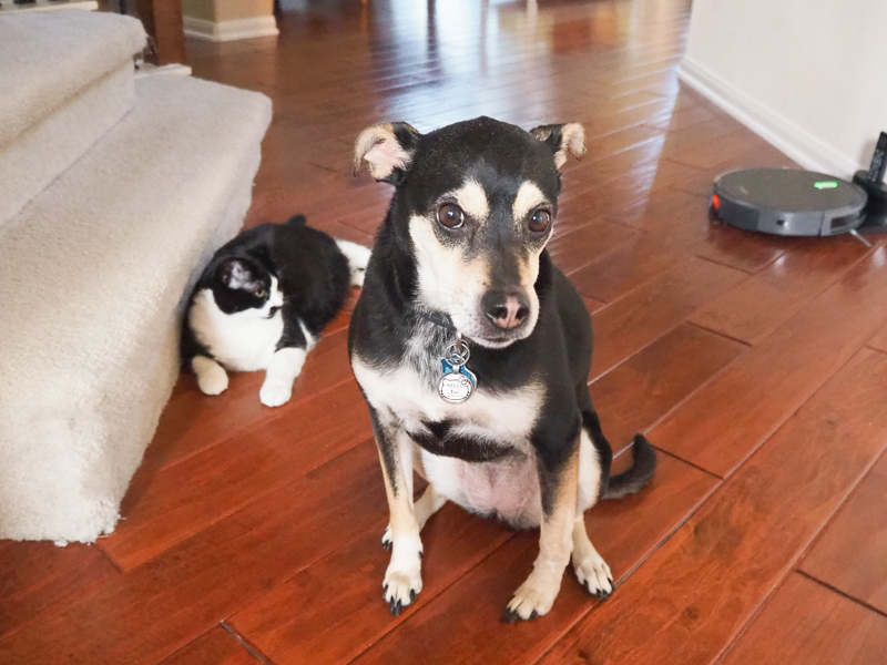 結構なかよしなふたり