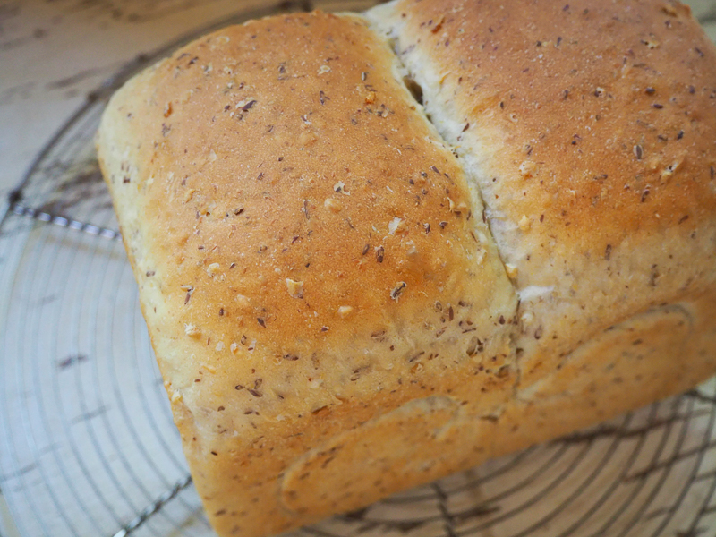 つぶつぶが楽しい