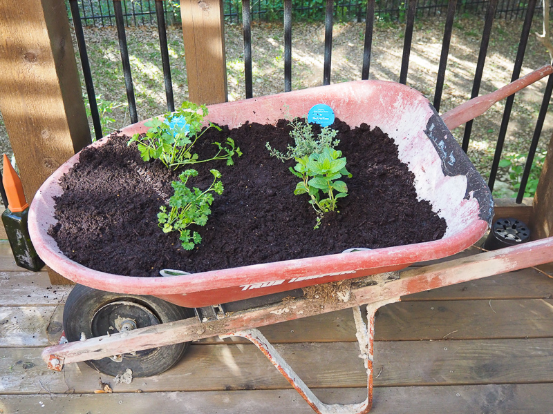 庭仕事用のキャリー