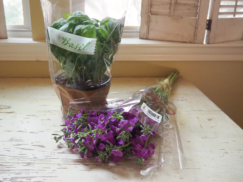 お花とバジル