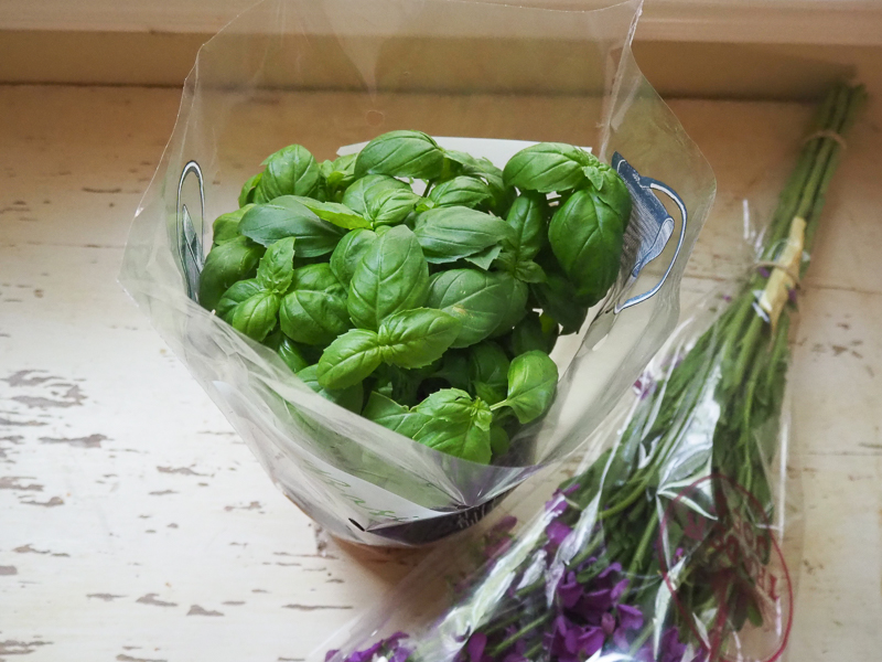 バジルはわさわさ