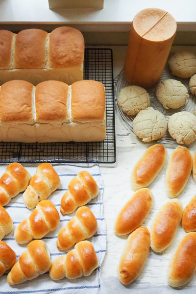 今週のパンたち