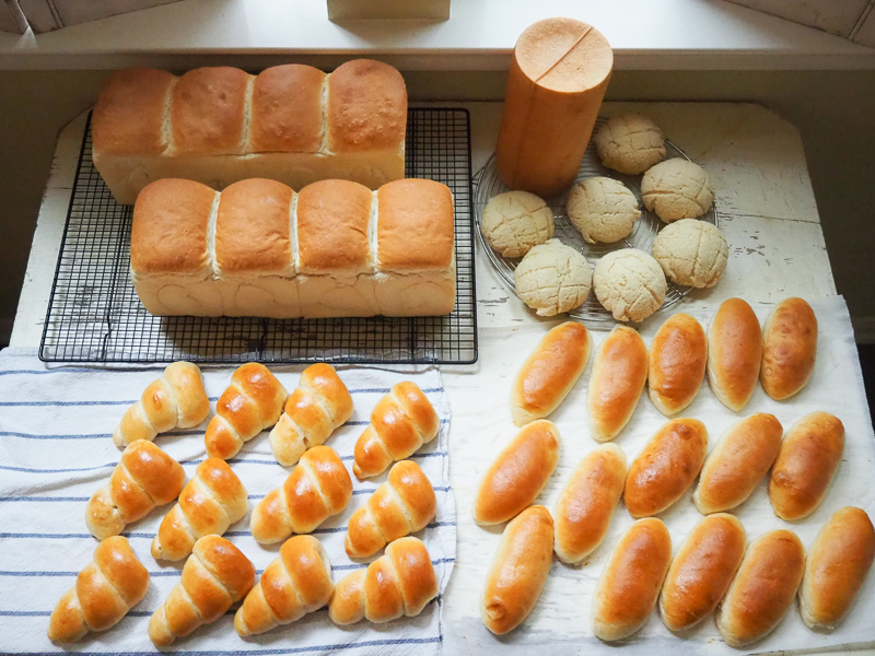 今週のパンたち