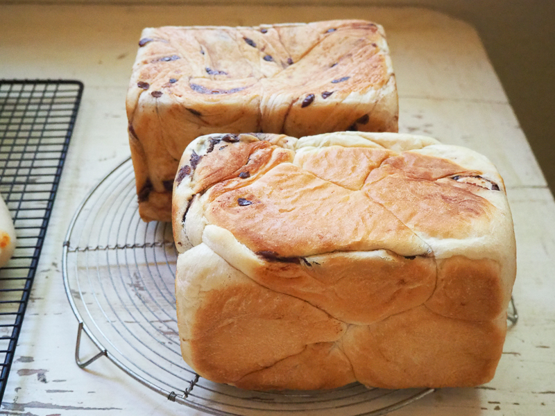 あんこ入り食パン