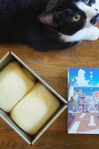 パンの発酵をまちつつ...