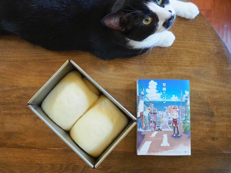 パンの発酵をまちつつ...