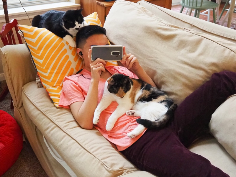 猫に好かれる長男