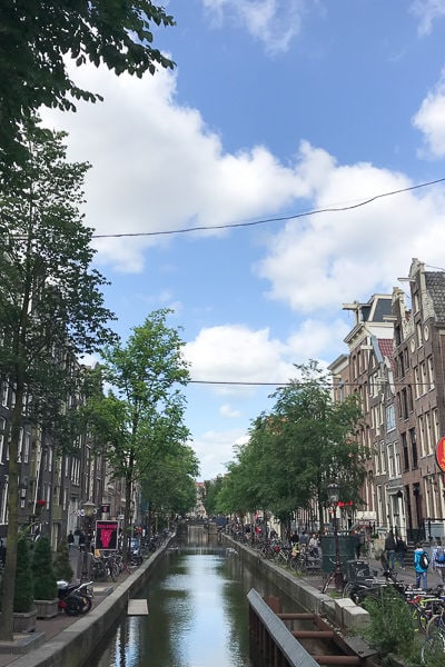 こんなきれいなエリア、に見えますが