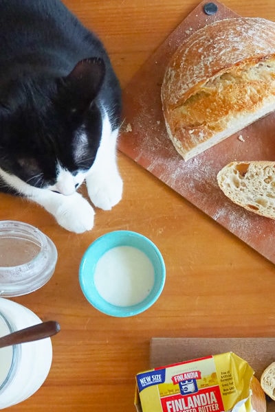 ひかえめひかえめ