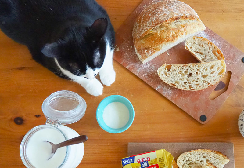 ひかえめひかえめ