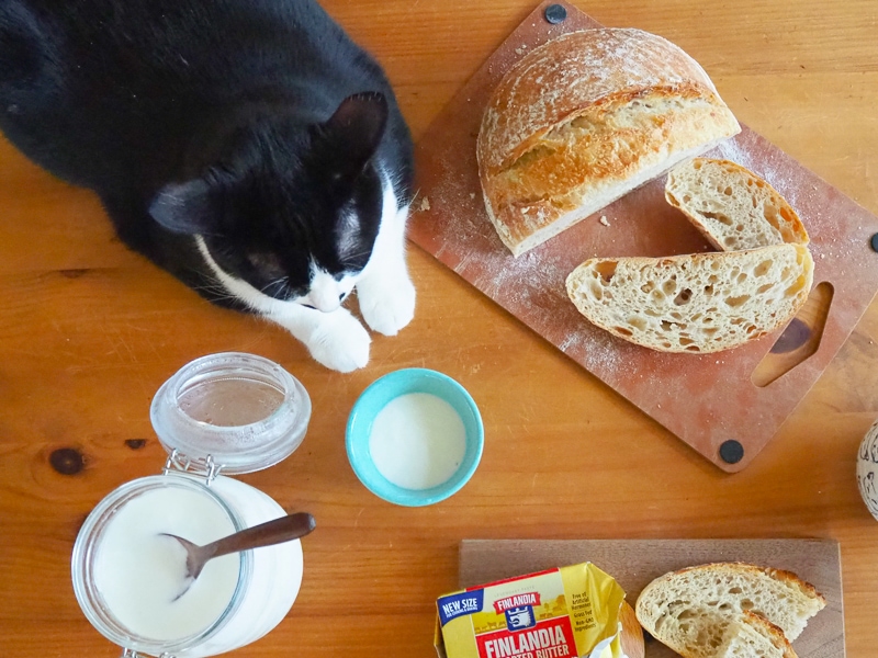 ひかえめひかえめ