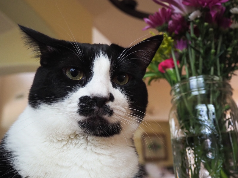 とられちゃったの