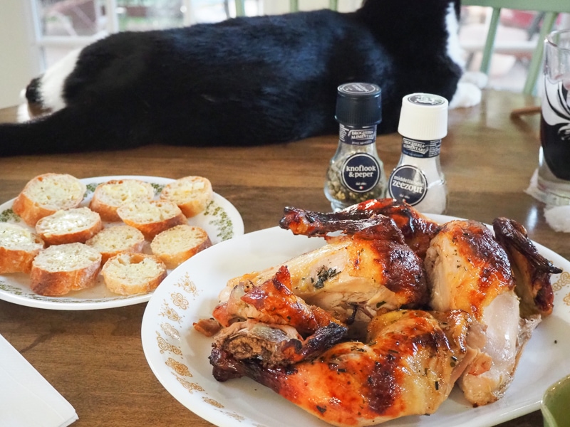 あんこちゃん♪