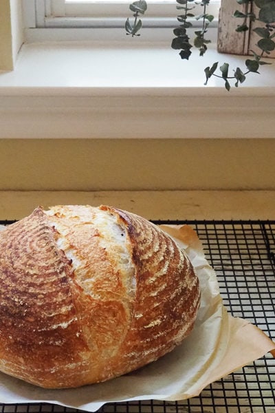 いつものサワードゥ