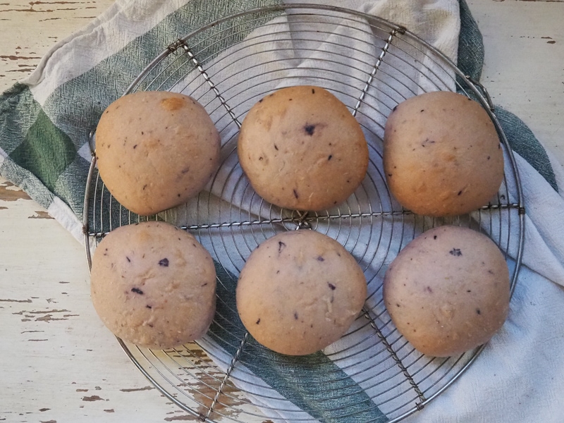 見た目は地味だけど