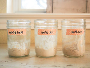 ３種類のスターターを起こしてみます