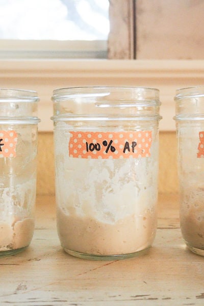 ３種類のスターターを起こしてみます