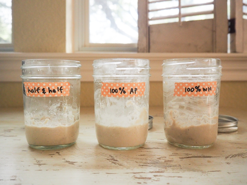 リフレッシュします