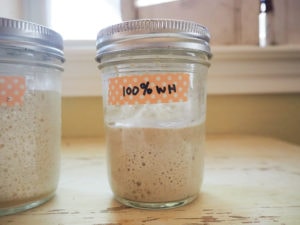 全粒粉は沈みかけ