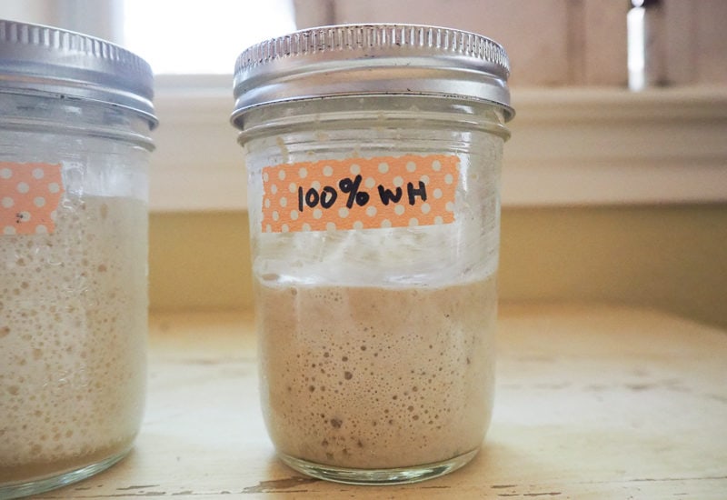 全粒粉は沈みかけ