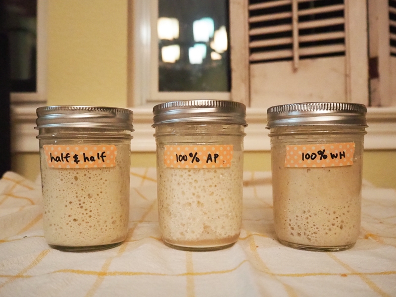 夜には再び発酵