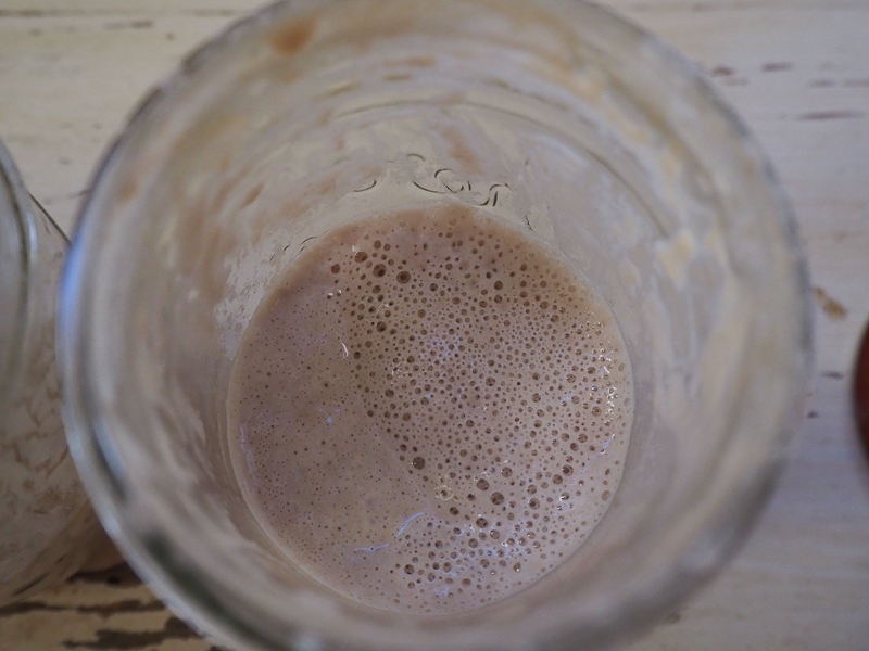 こちらはぷくぷく