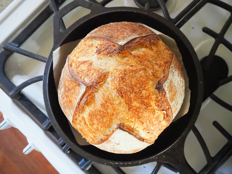 パカーンと開いた♪