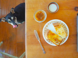 ラニにもください