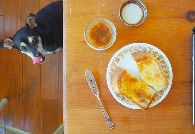 ラニにもください