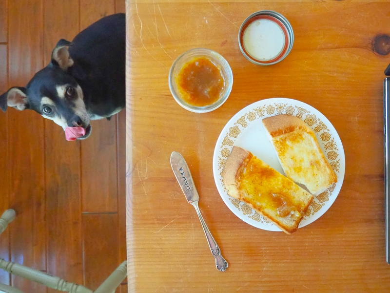 ラニにもください