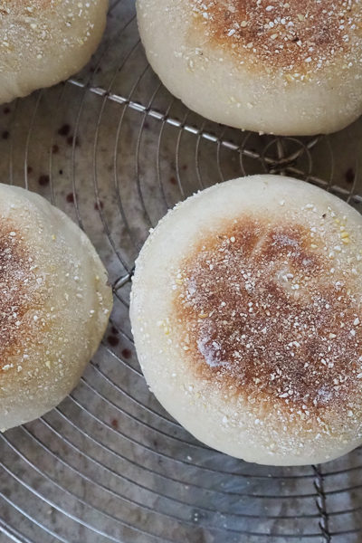 見た目はいい感じ