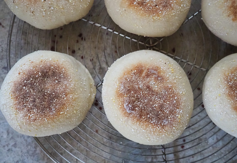 見た目はいい感じ