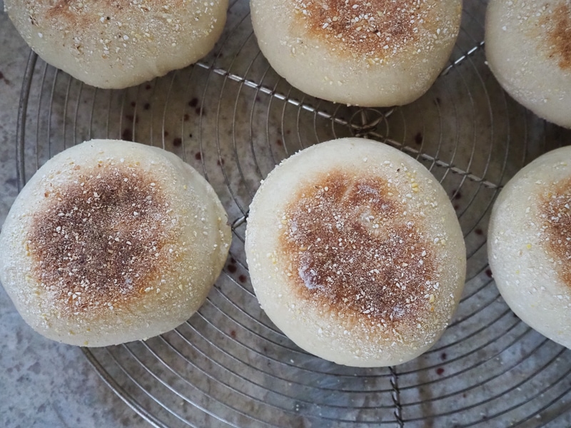 見た目はいい感じ