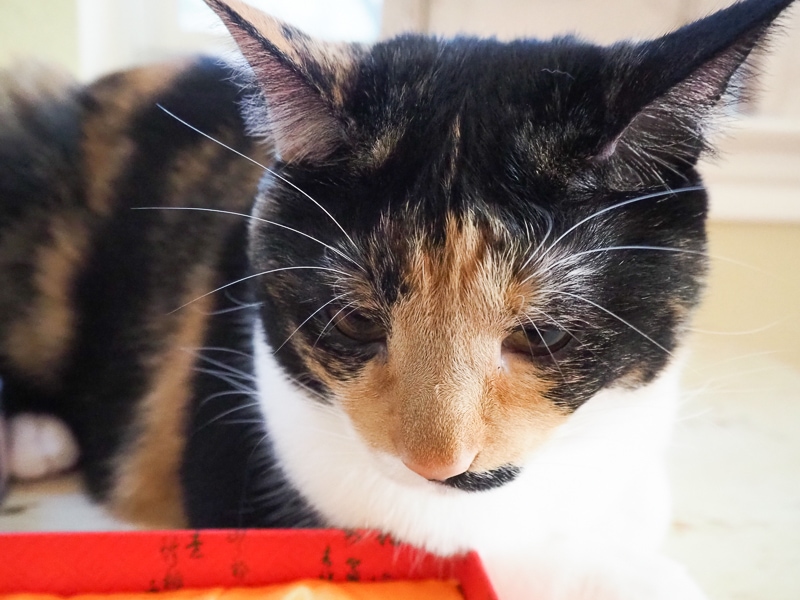 何考えてるの？