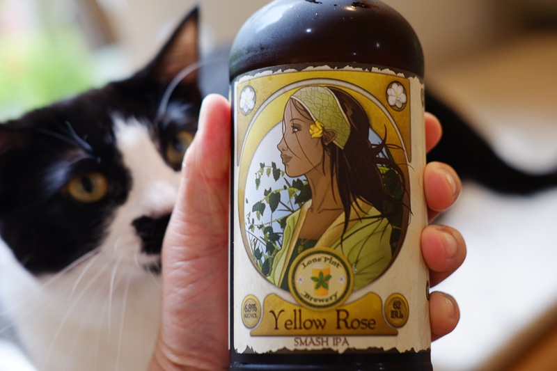 イエローローズ